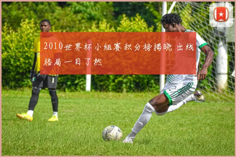 2010世界杯小组赛积分榜揭晓 出线格局一目了然