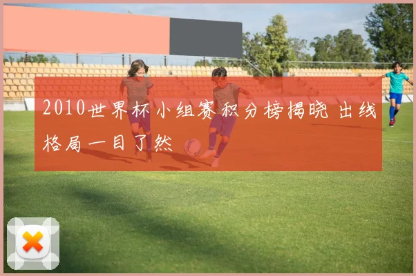 2010世界杯小组赛积分榜揭晓 出线格局一目了然