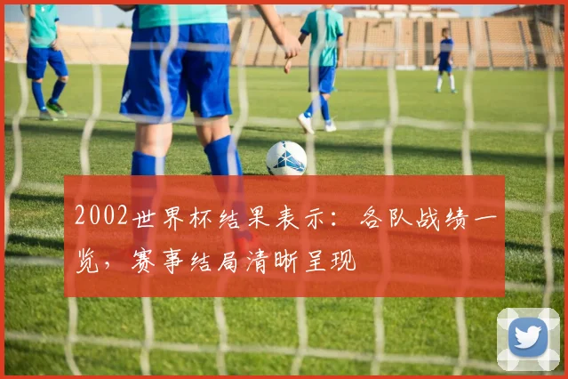 2002世界杯结果表示:各队战绩一览,赛事结局清晰呈现