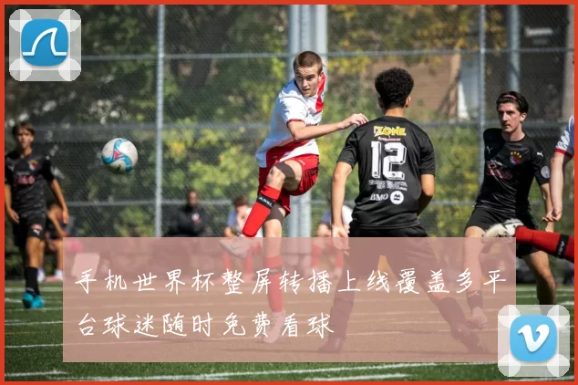 手机世界杯整屏转播上线覆盖多平台球迷随时免费看球