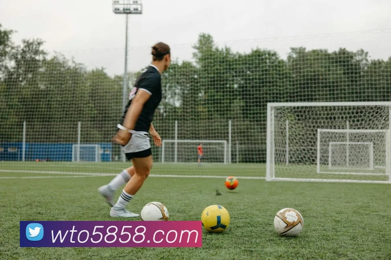 App Interface Preview